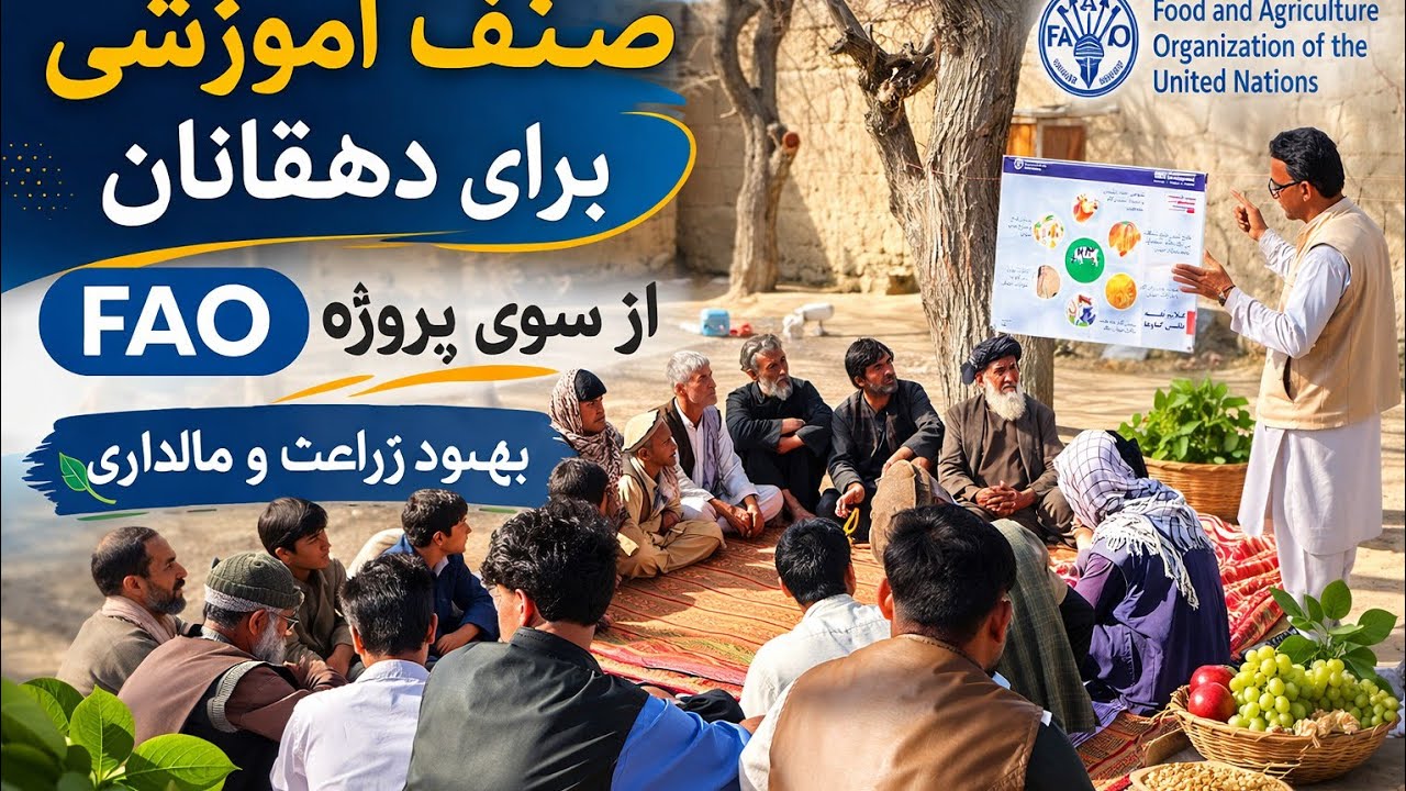 صنف آموزشی برای دهاقین ومالداران، برگزار شده توسط   (FAO)گامی به سوی زراعت و مالداری بهتر 🌿  #fao 
