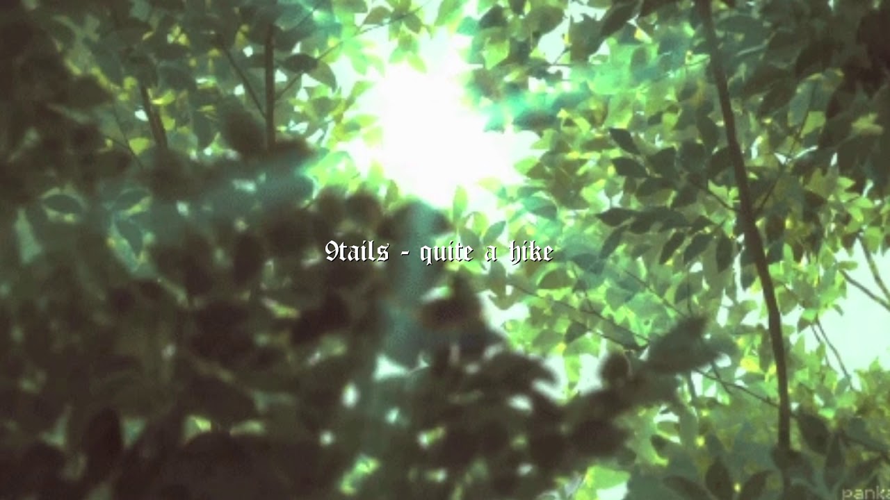9TAILS - quite a hike [prod. sarcastic sounds]