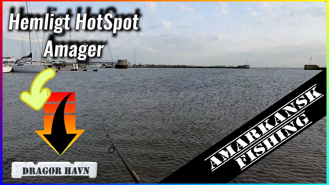 Havørred SPOT Amager Maj 2022