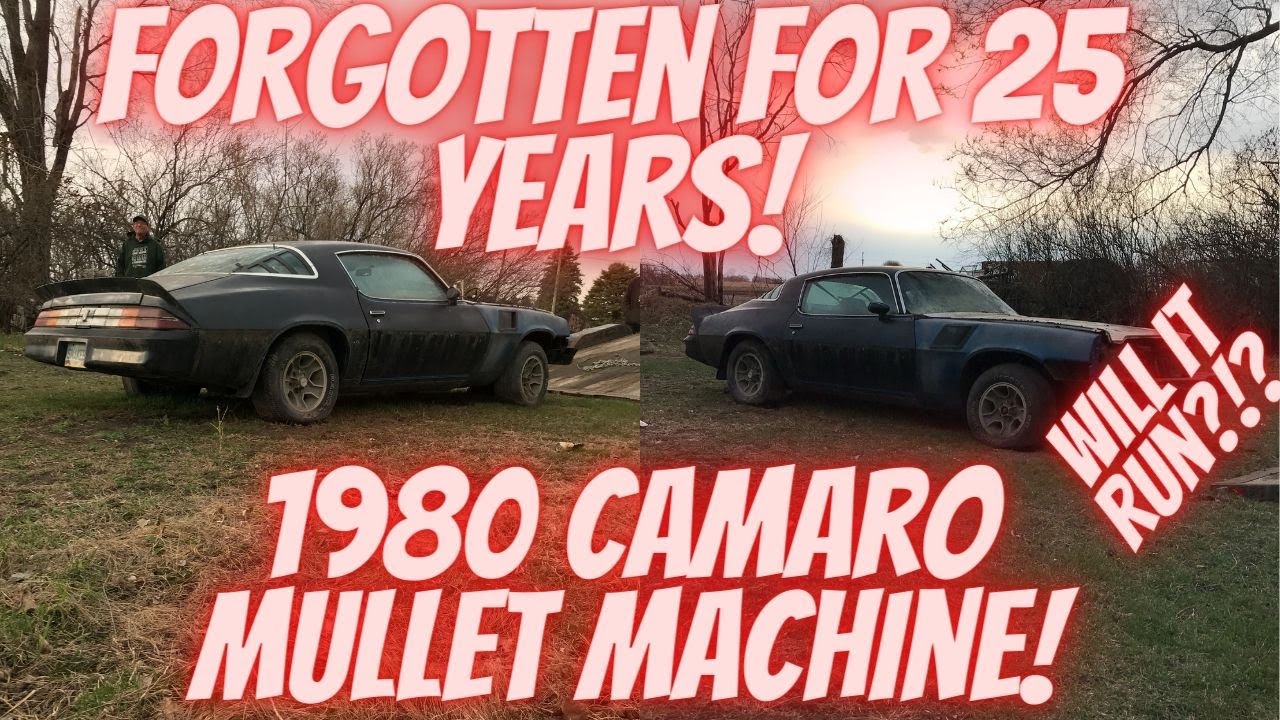 Mullet Machine Abandoned for 25 years! 1980 Chevrolet Camaro left for dead! Will it run?!?
