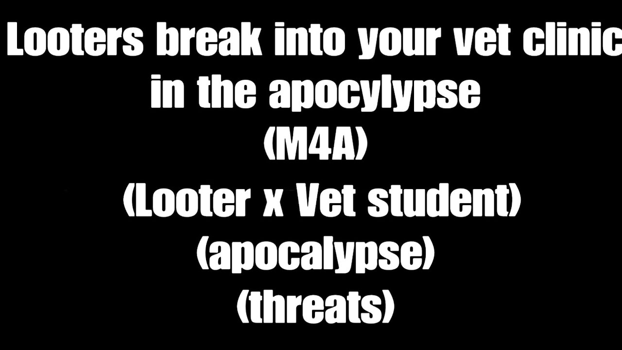 (M4A) Looters break into your vet clinic in the apocalypse