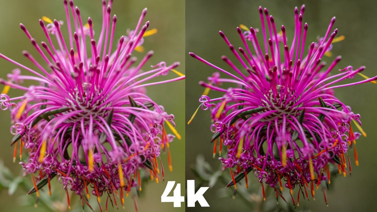 Lightroom presets photo editing photo edit 