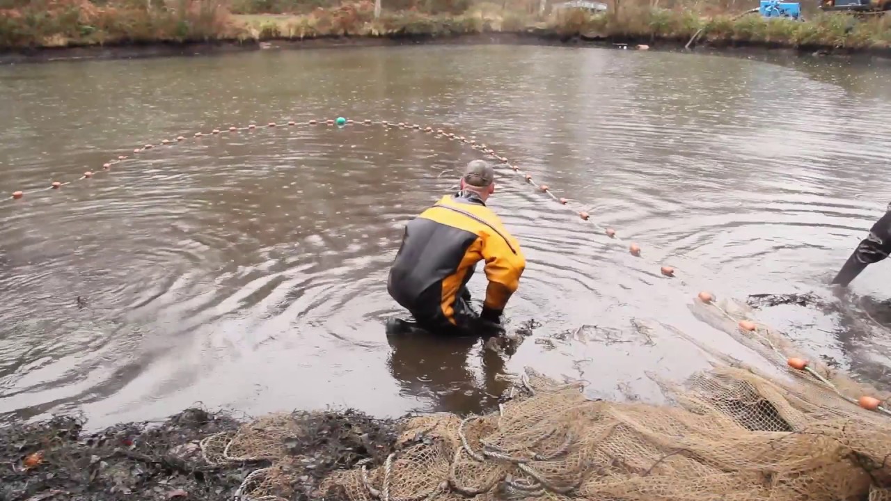 7 Lakes Fishery