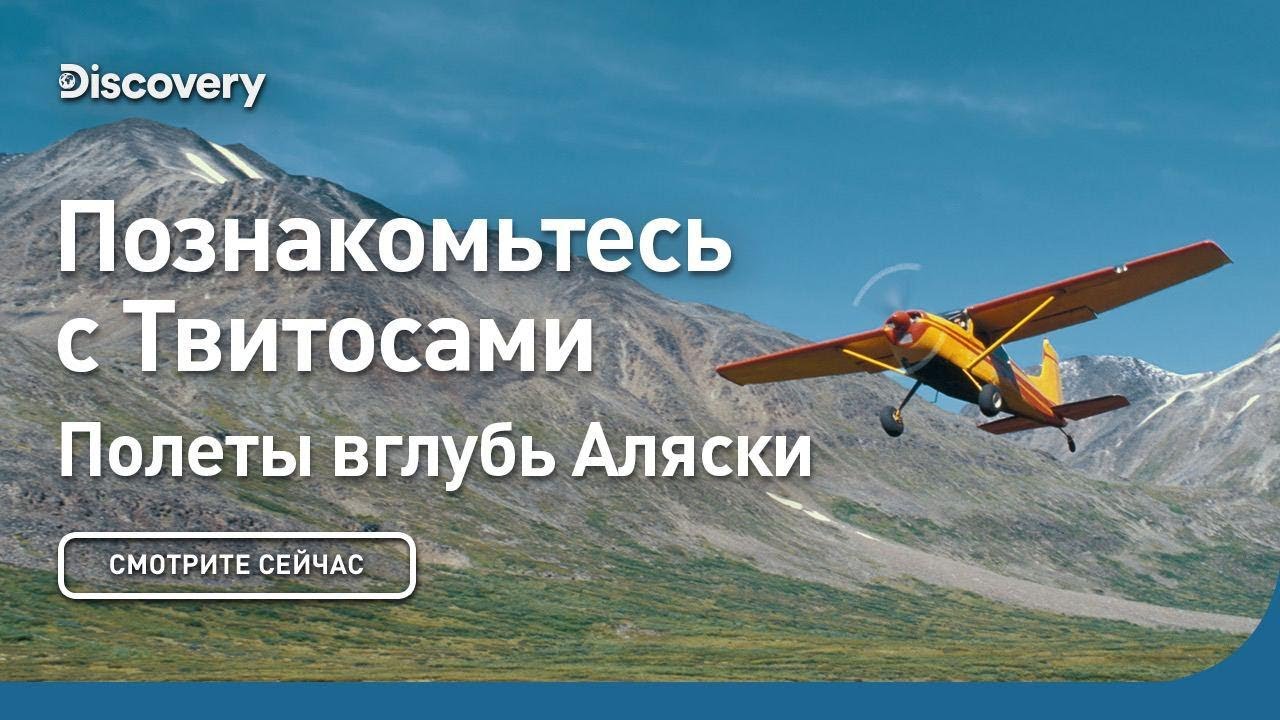 Познакомьтесь с Твитосами | Полеты вглубь Аляски | Discovery
