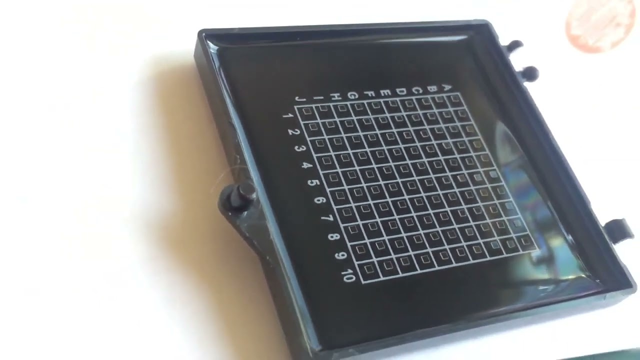Microprism for micro endoscope imaging for neuroscience research