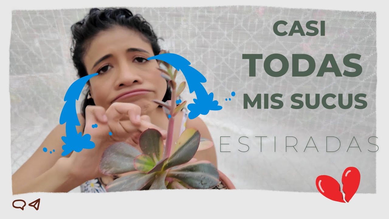 🥴Me llevé muchas SORPRESAS😪 mientras REORGANIZABA el inverdanero