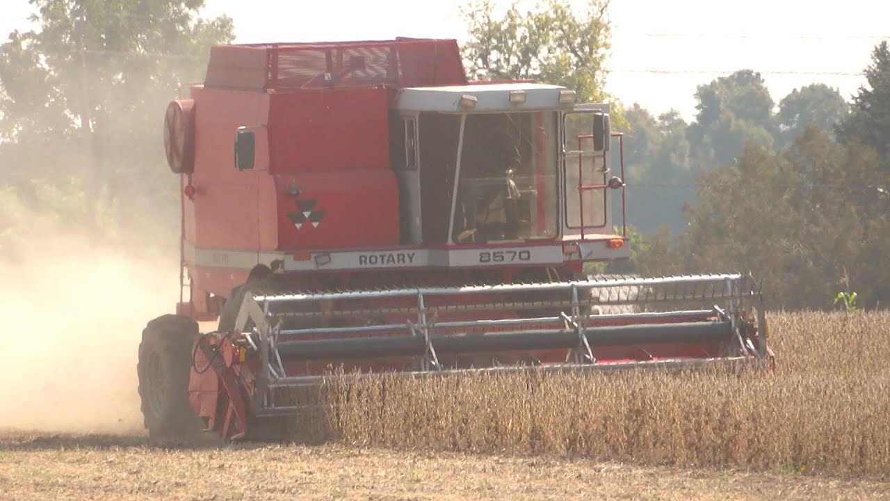 Soybean Harvest 2020 | 8570 Massey Ferguson Harvesting Soybeans | Ontario, Canada