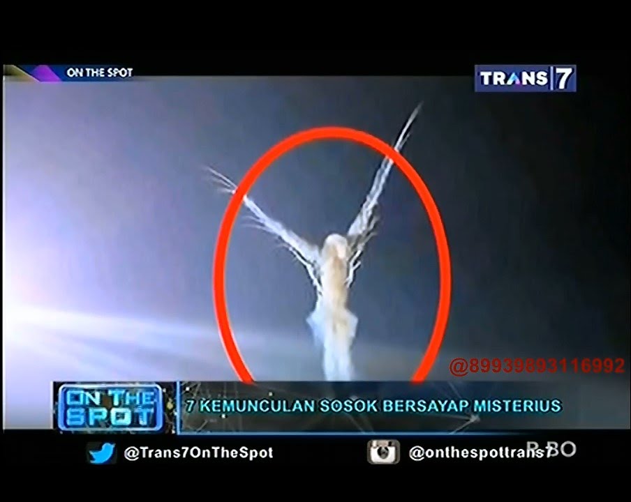 On The Spot - 7 Kemunculan Sosok Bersayap Misterius