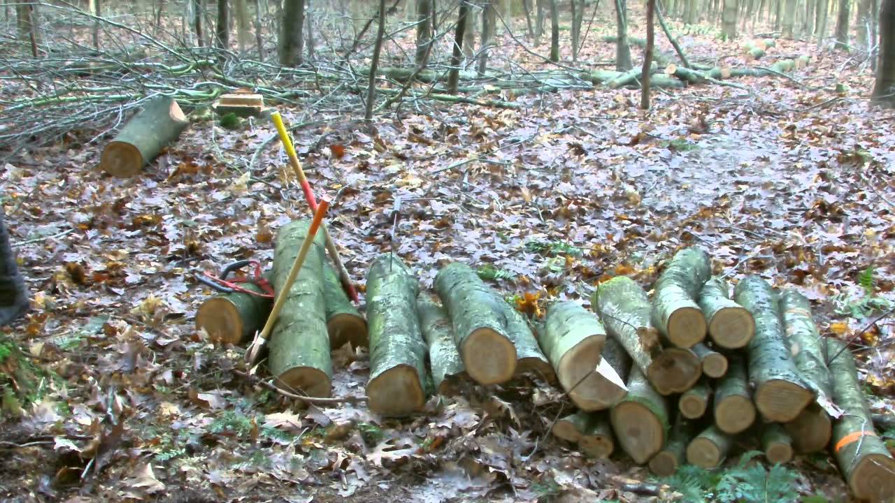 Meterholz spalten - Splitting Logs