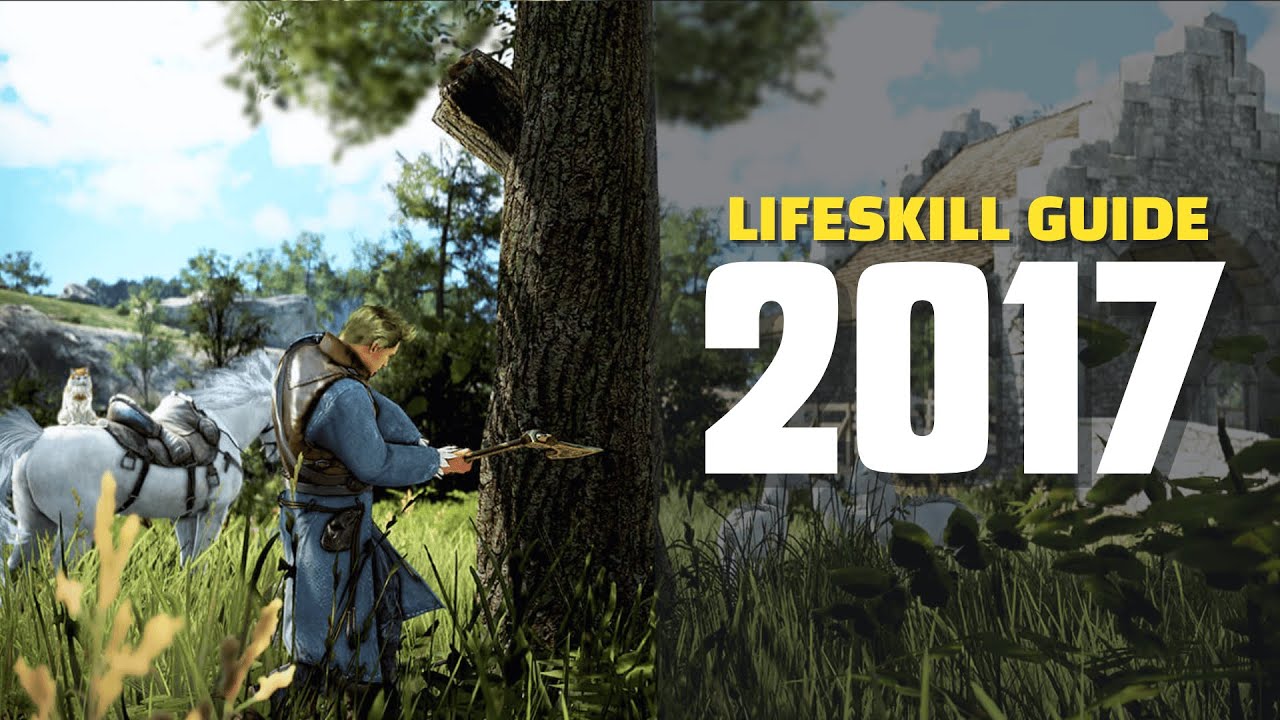 Black Desert Online Lifeskills Explained – Gathering, Cooking, Trading & More (2017)