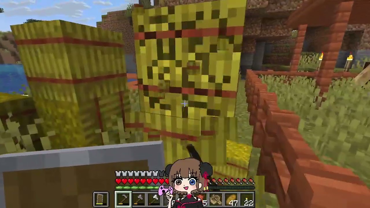 【マイクラ】目指せ！エンドラ討伐～！！with haruちゃん #3