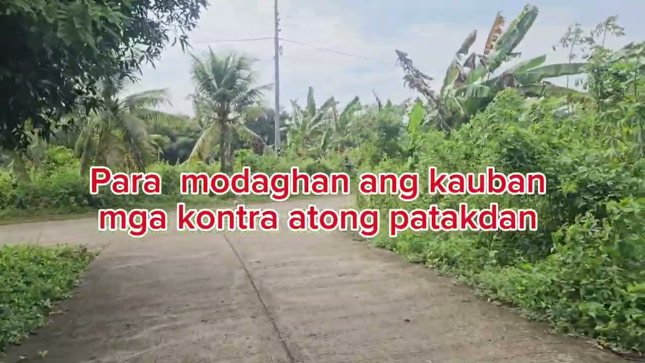 WakWak @comedysonglyrics @comedy@song@lyrics