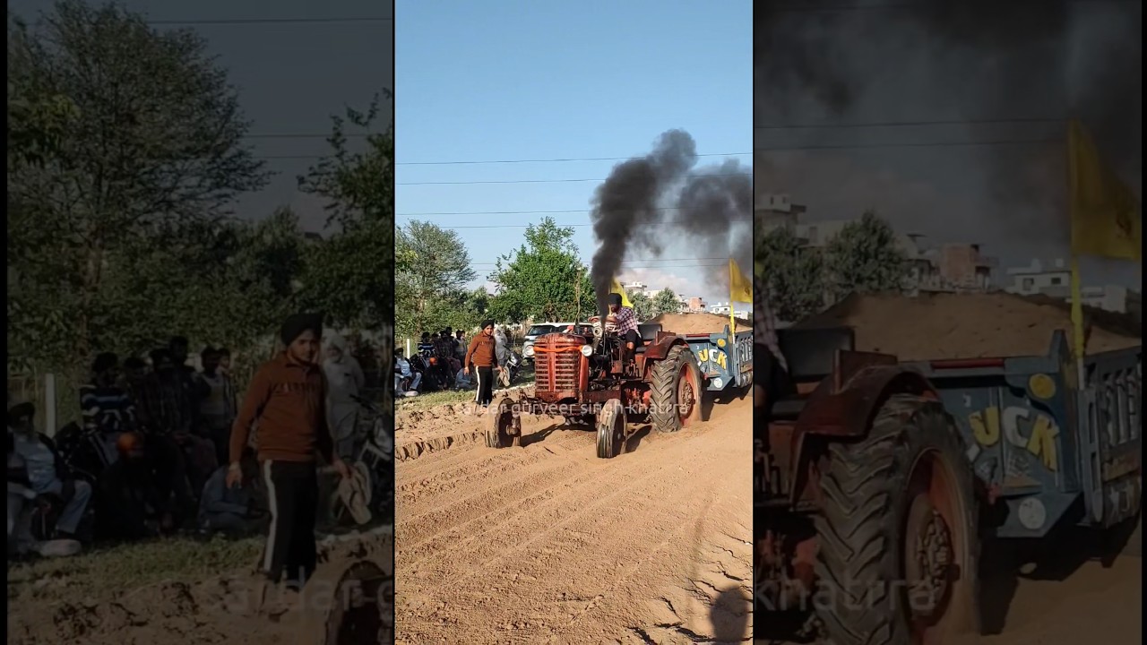 This 50-Year-Old Belarus Tractor Still Runs Like a BEAST! 😱 #OldIsGold #mb140clubbelarus