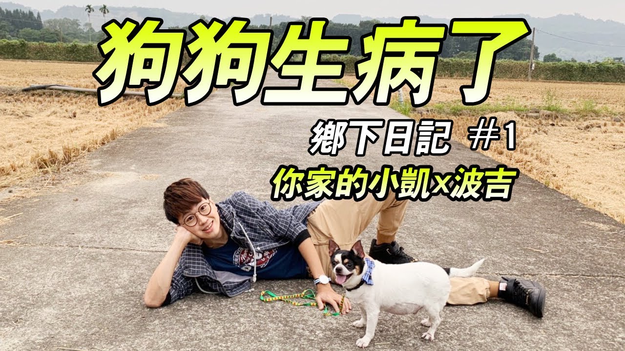 【狗狗生病了!從來沒想過波吉也會得糖尿病!】鄉下日記#1 (你家的小凱x波吉)