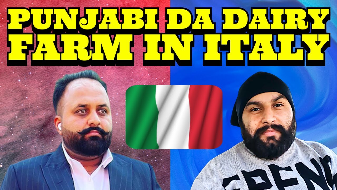 AGRICULTURE DAIRY FARM IN ITALY 2023 #dairyfarm #italydairyfarmwork #italysalery #punjabifarmers