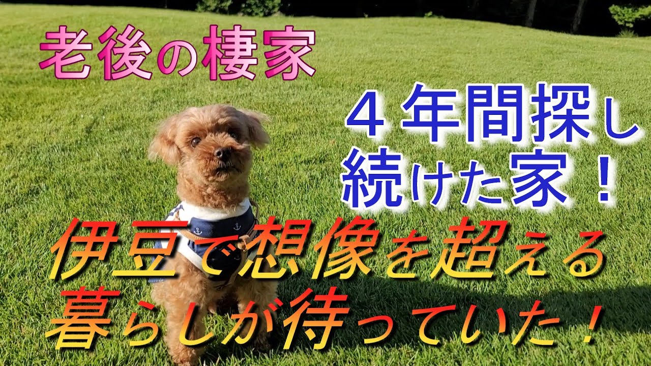 【週末夫婦】老後の棲家　４年間探し続けた家　伊豆で想像を超える暮らしが待っていた