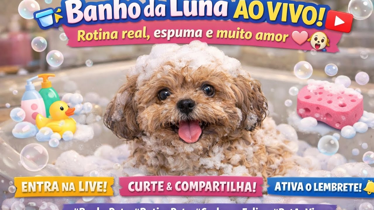 🐾 e fica até o final👉 Curte, compartilha e chama quem ama pets👉 Ativa o lembrete pra não perder 💖