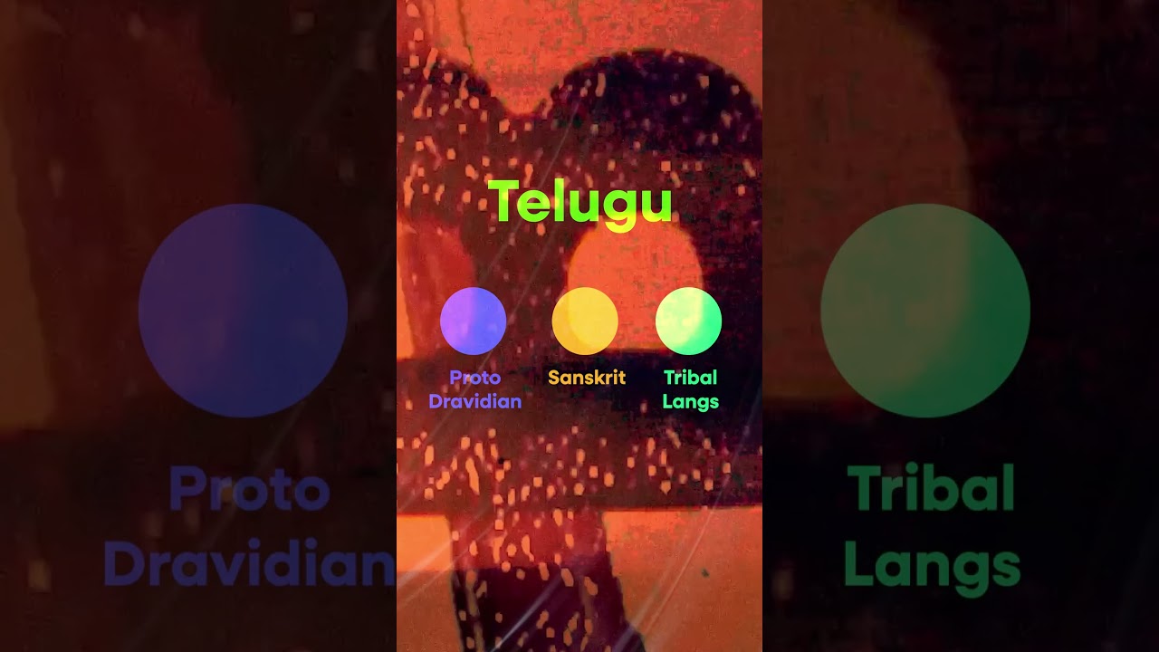Did Kannada originate from Tamil? #kannada #tamil #kamalhaasan