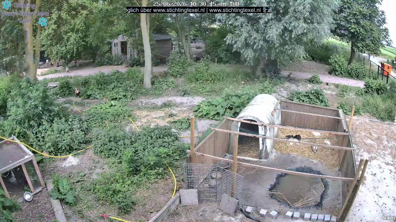 Animal spycam | Woody's Veilige Haven Texel | Tuin