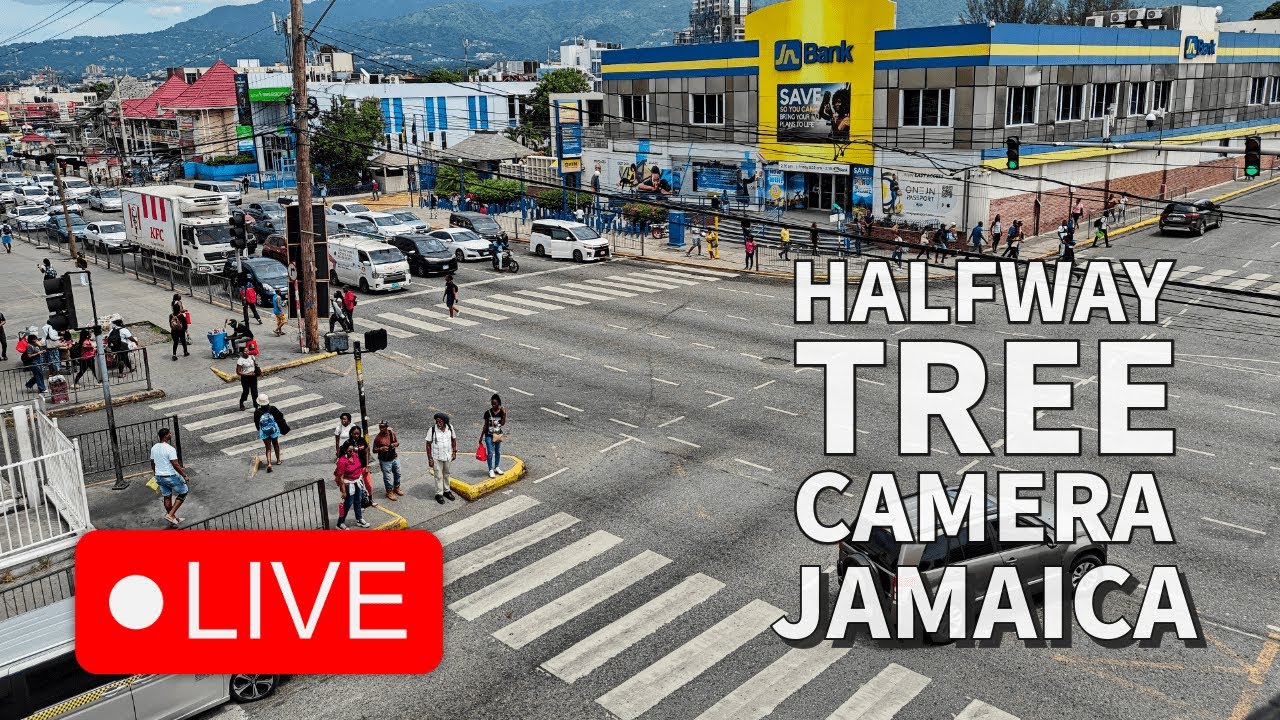 🟢 Half Way Tree LIVE – Jamaica’s Busiest Transport Centre 24/7