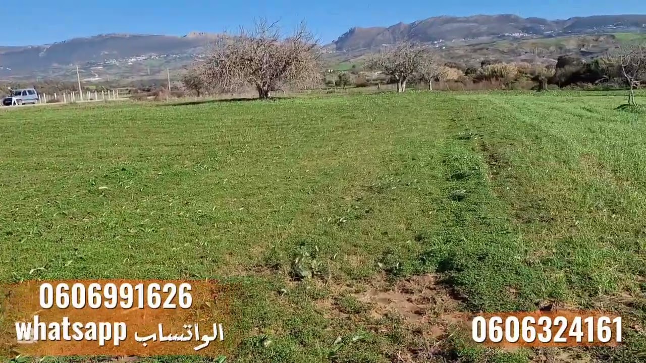 قطعة ارضيه محفظة 1500متر واصلا الضوء والطريق بين لخميس آنجرة وتطوان 