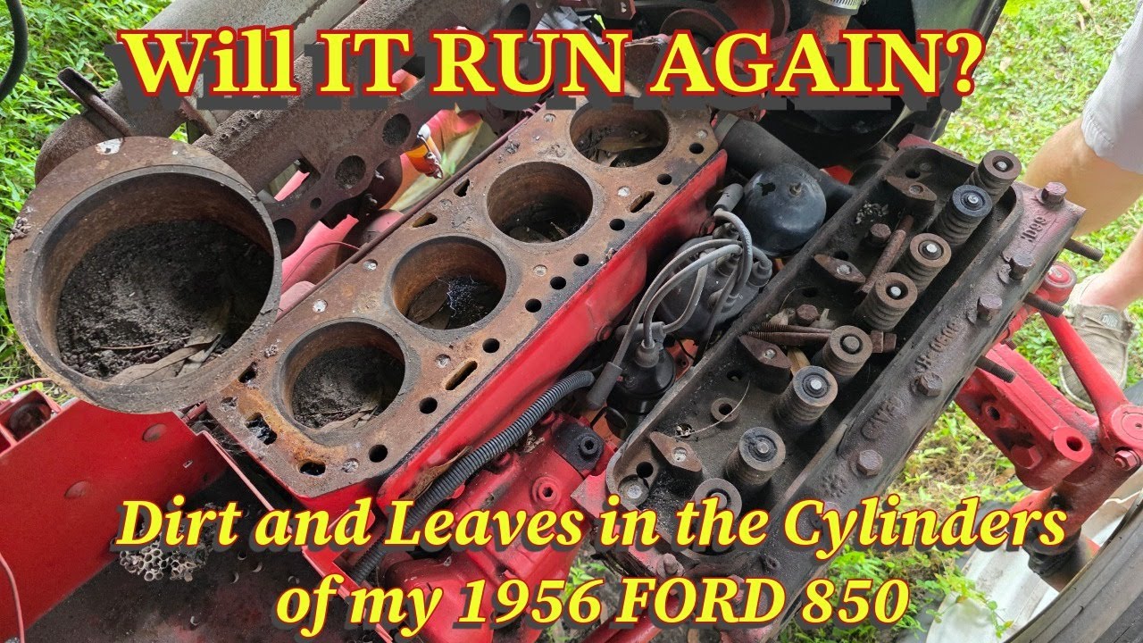 Will it run? 1956 Ford 850, with dirt and leaves in the cylinders.