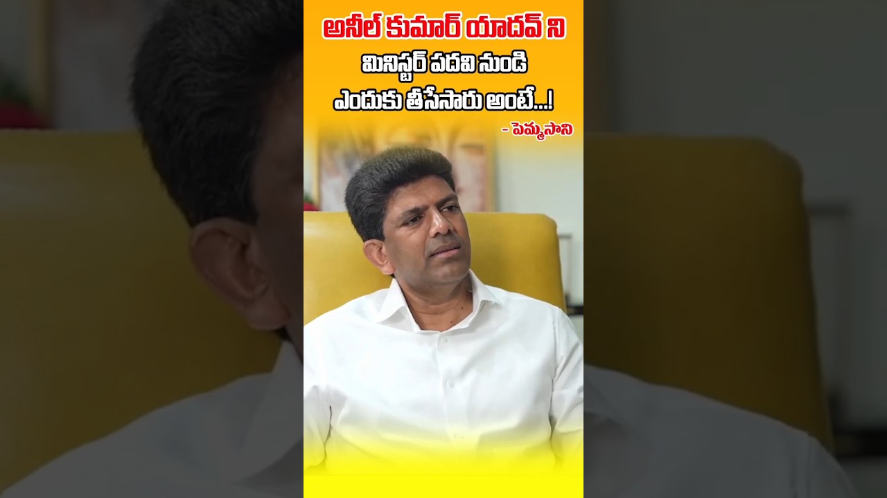 అనీల్ కుమార్ యాదవ్ ని మినిస్టర్ పదవి నుండి ఎందుకు తీసేసారు అంటే...! #pemmasani #anilkumaryadav #tdp
