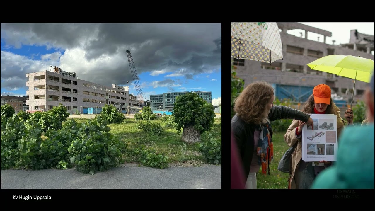 Mötesplats kulturmiljö 2025: Tema 2 – Omställning till ett hållbart och robust samhälle