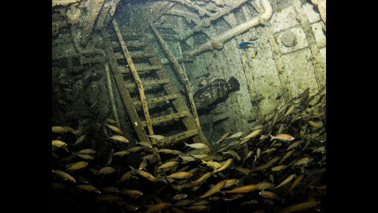 Pesca Submarina em Naufrágio - Pesca Sub