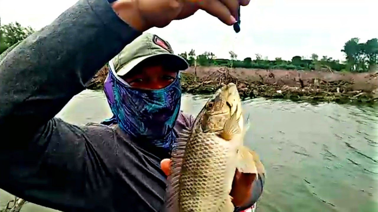 Nyesel gak bawa karung