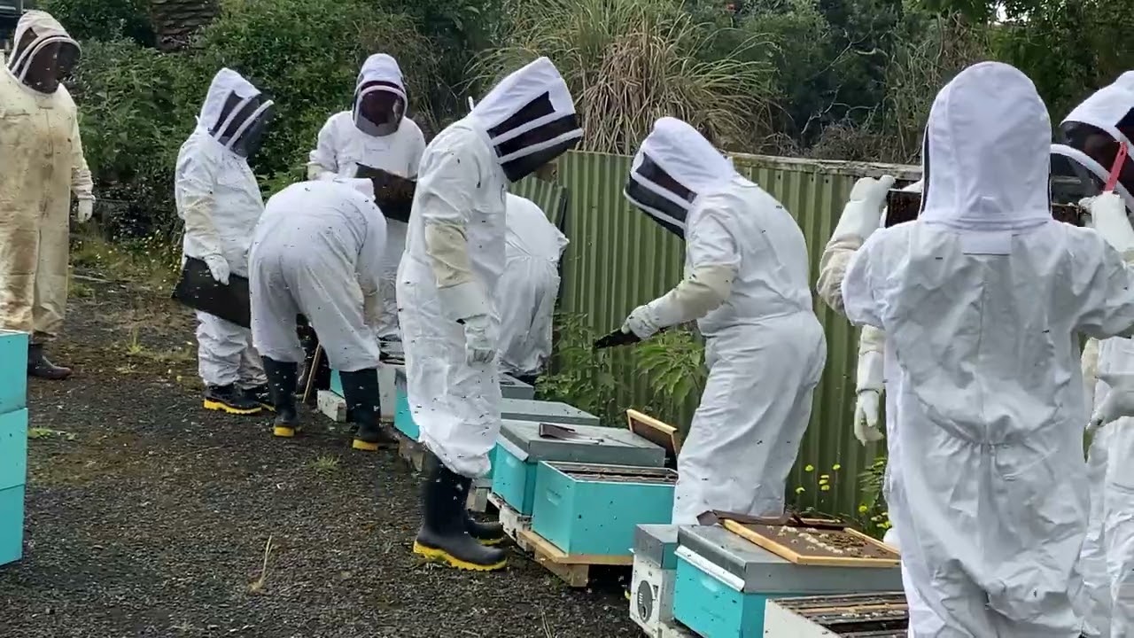Apiculture - A Student's Experience