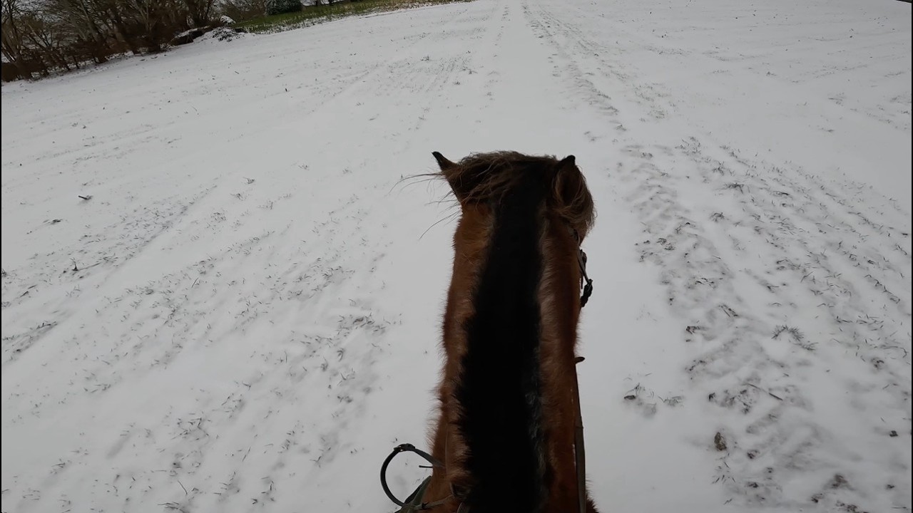 OUR LAST VIDEO ... | helmet cam