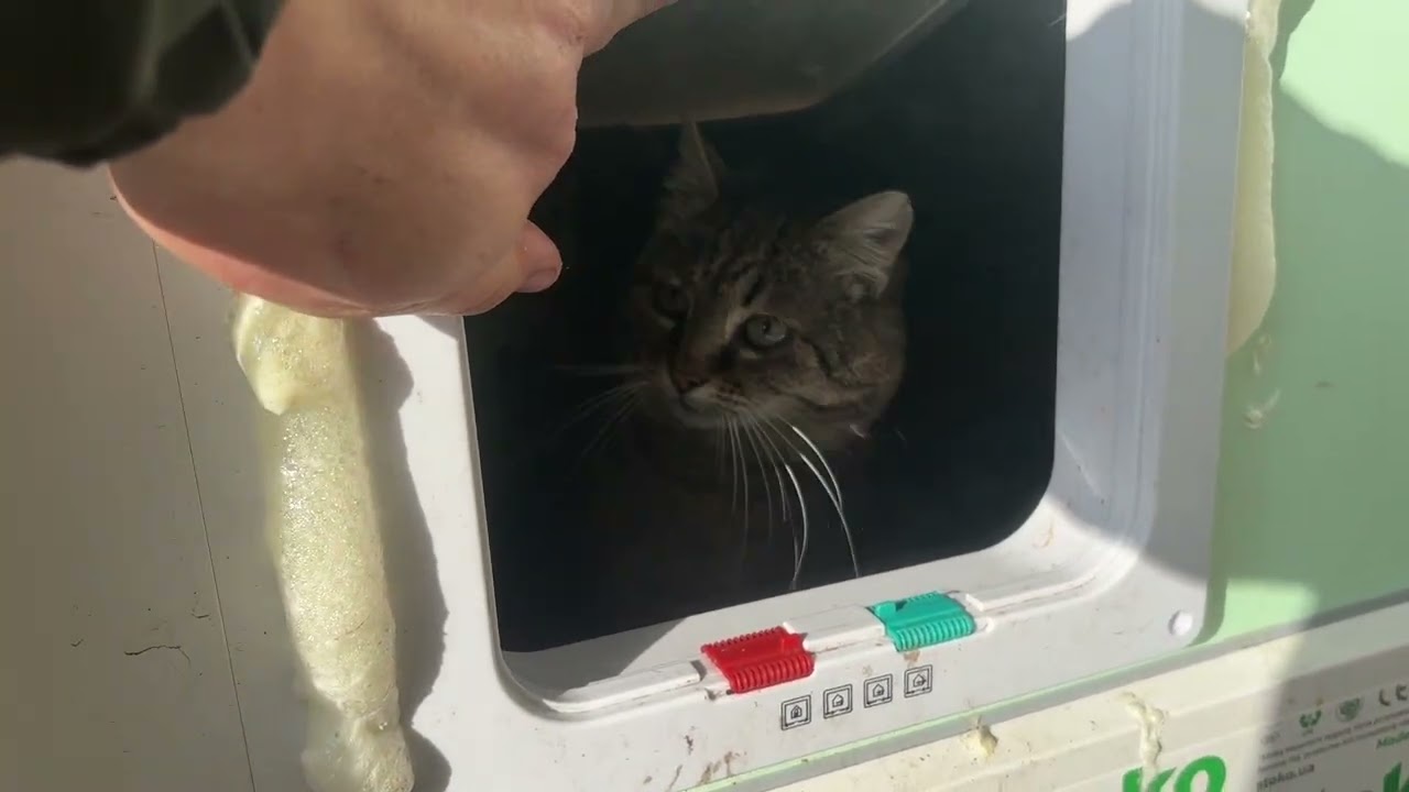Small Shelter, Endless Love for Animals