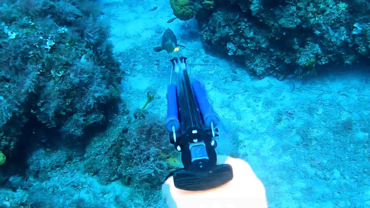 A dentex, a grouper and the eel that tried to steal my fish | Cyclades Spearfishing