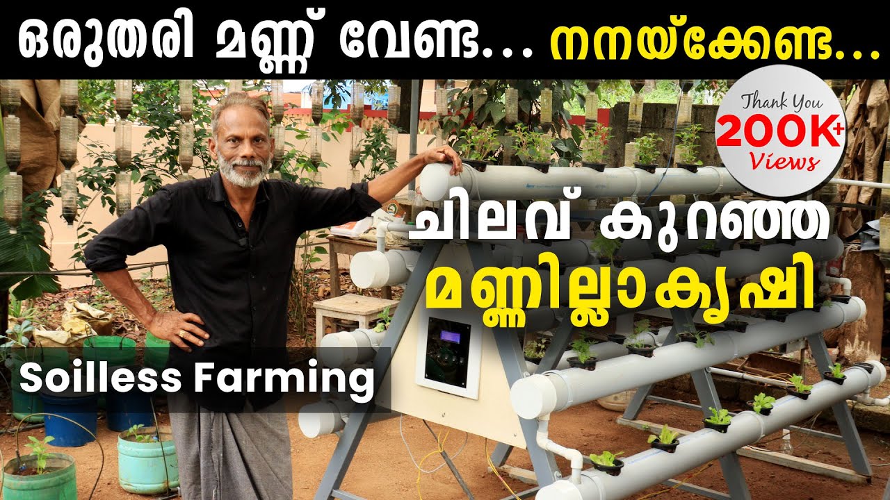 ചിലവ് കുറഞ്ഞ മണ്ണില്ലാകൃഷിയുമായി വേണുഗോപാൽ  | Low Cost Homemade Soilless Farming System