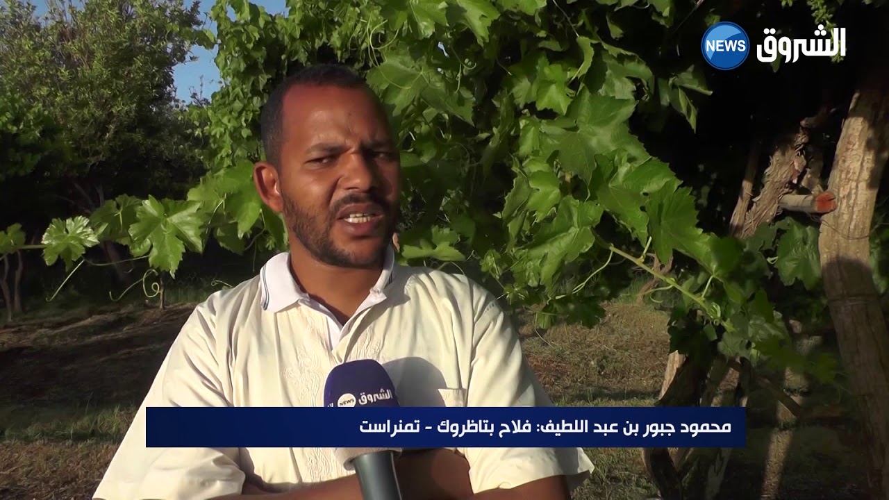 #تمنراست| منتوجات فلاحية كبيرة في منطقة تاظروك بحاجة إلى الدعم