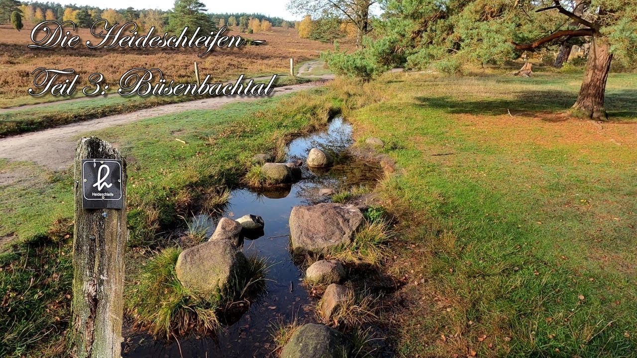 Büsenbachtal - Die Heideschleifen Teil 3