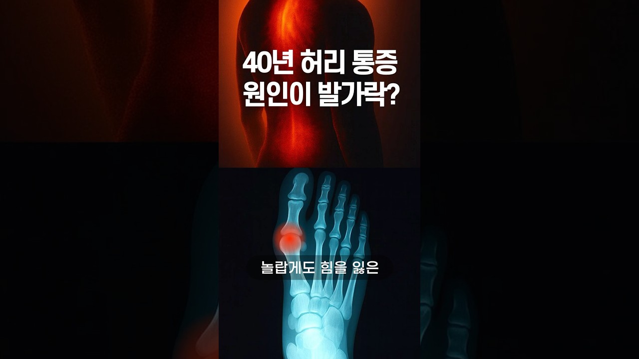 수십 년 앓아온 만성 통증, 그 원인은 아픈 곳에 있지 않습니다 | 스본스도 원리 1편