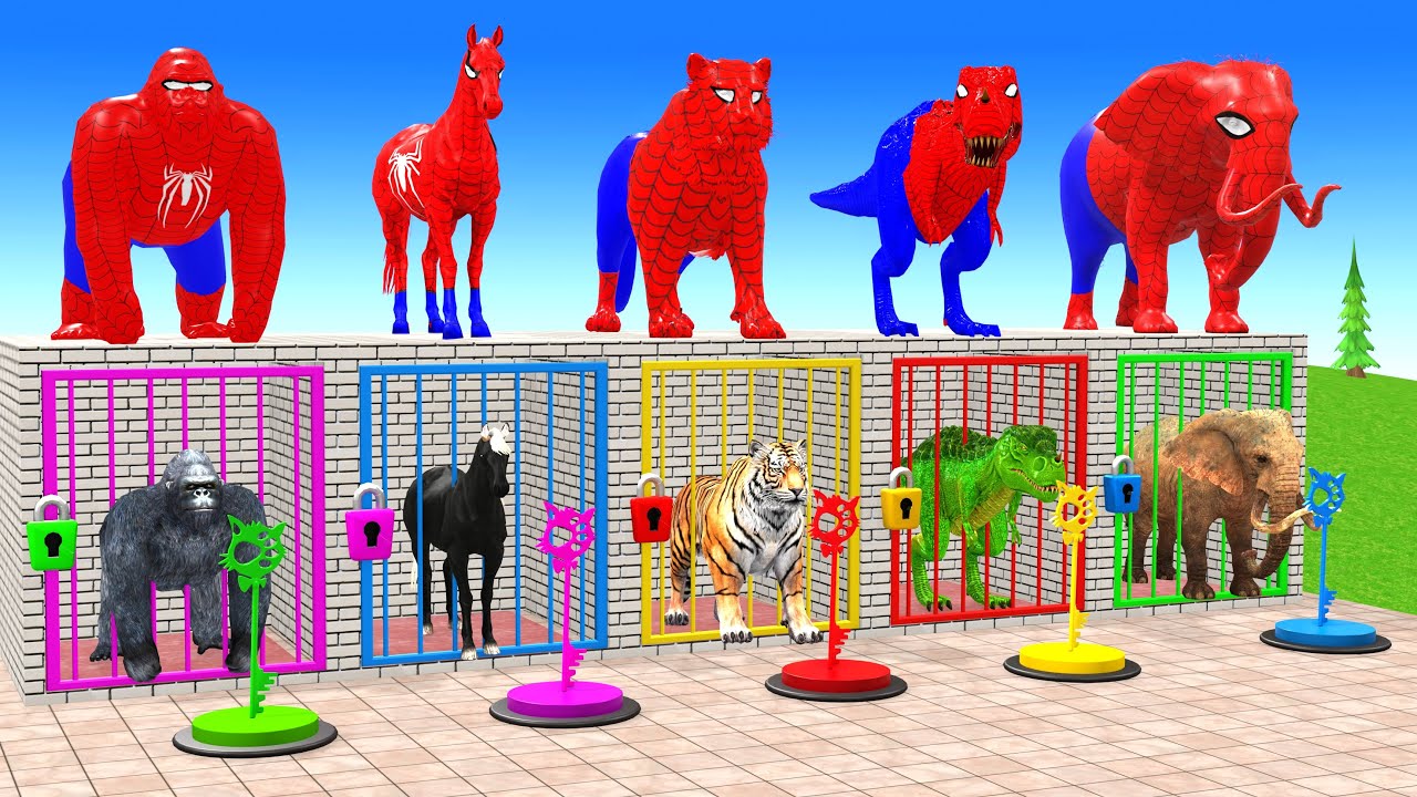 Long Slide Game With Cow Elephant Gorilla Hippopotamus Tiger 3d Animal Game Funny 3d Animals