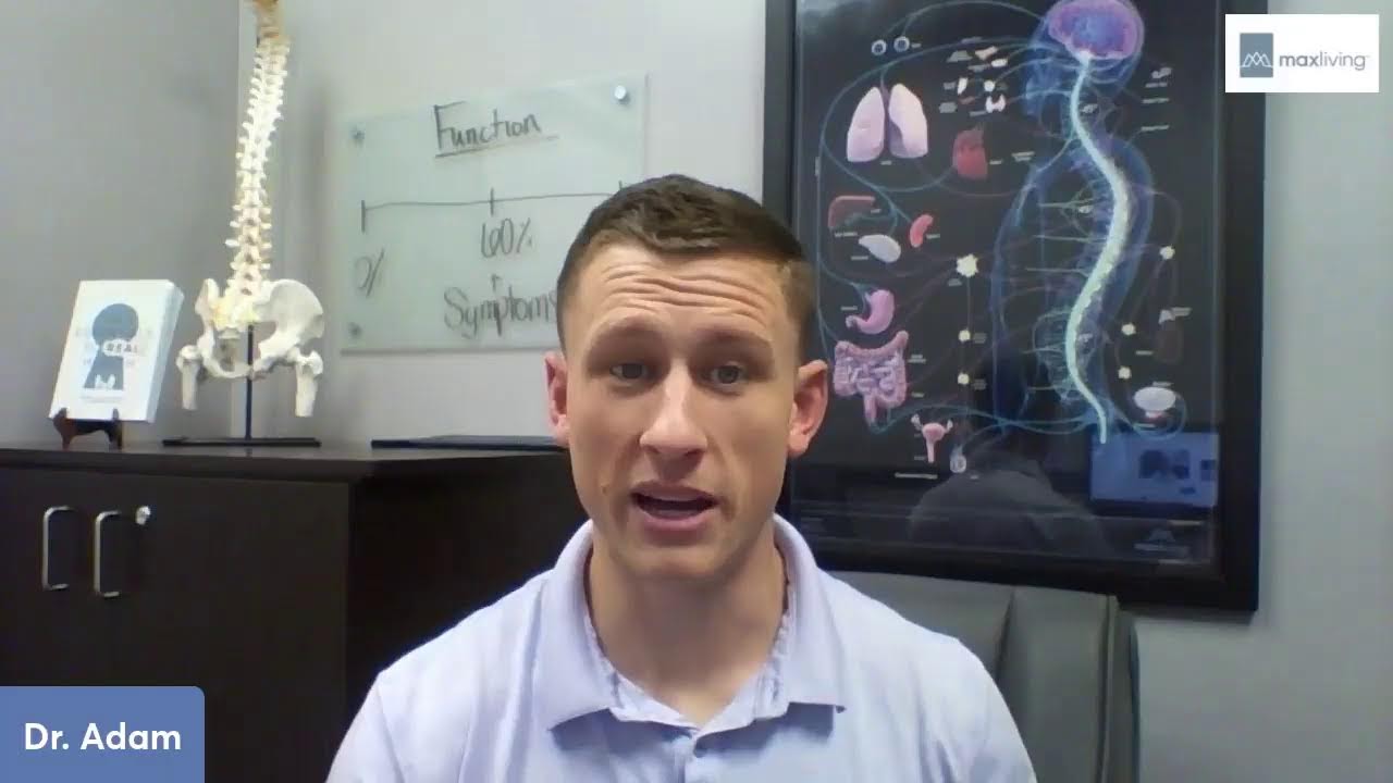 Video 3 - Mitochondria