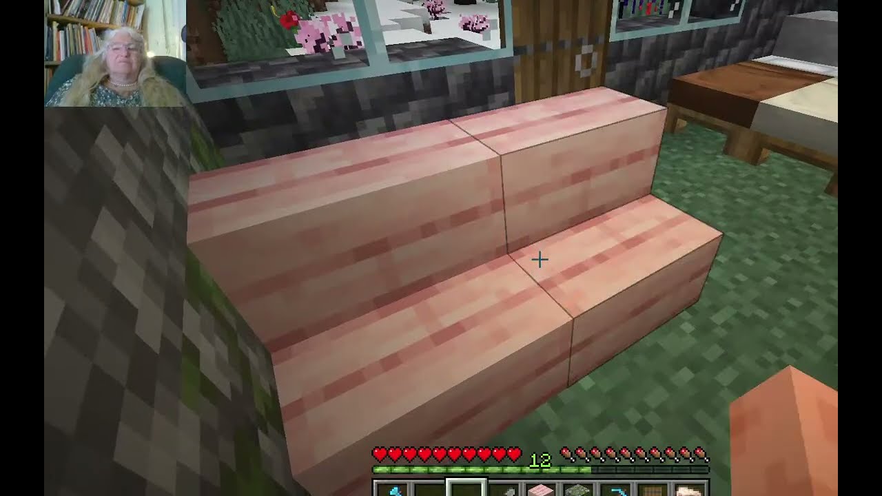 Grandma's Minecraft Nancy Today ep 517