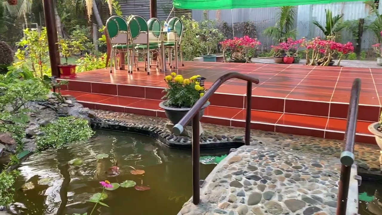 Vườn nhà Nội PB