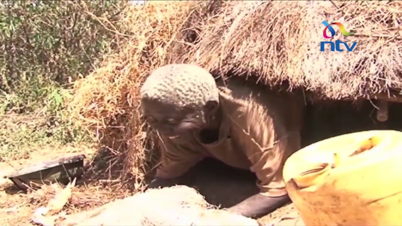 Harrowing tales of a 78 year old Busia grandmother