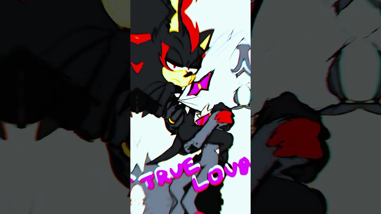meu ship favorito #sonic shadinite #shadowthehedgehog