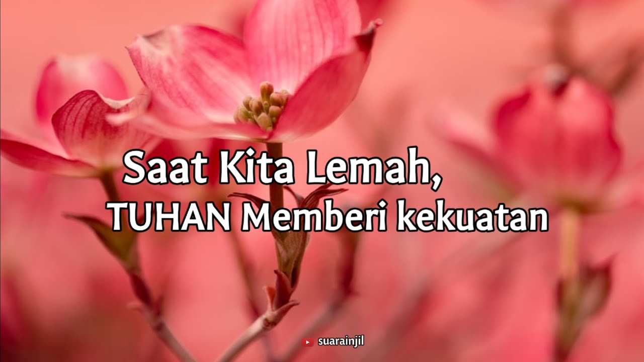 Saat Kita Lemah, TUHAN Memberi Kekuatan. Renungan Dan Doa Malam Suara Injil. 23.06.2022.