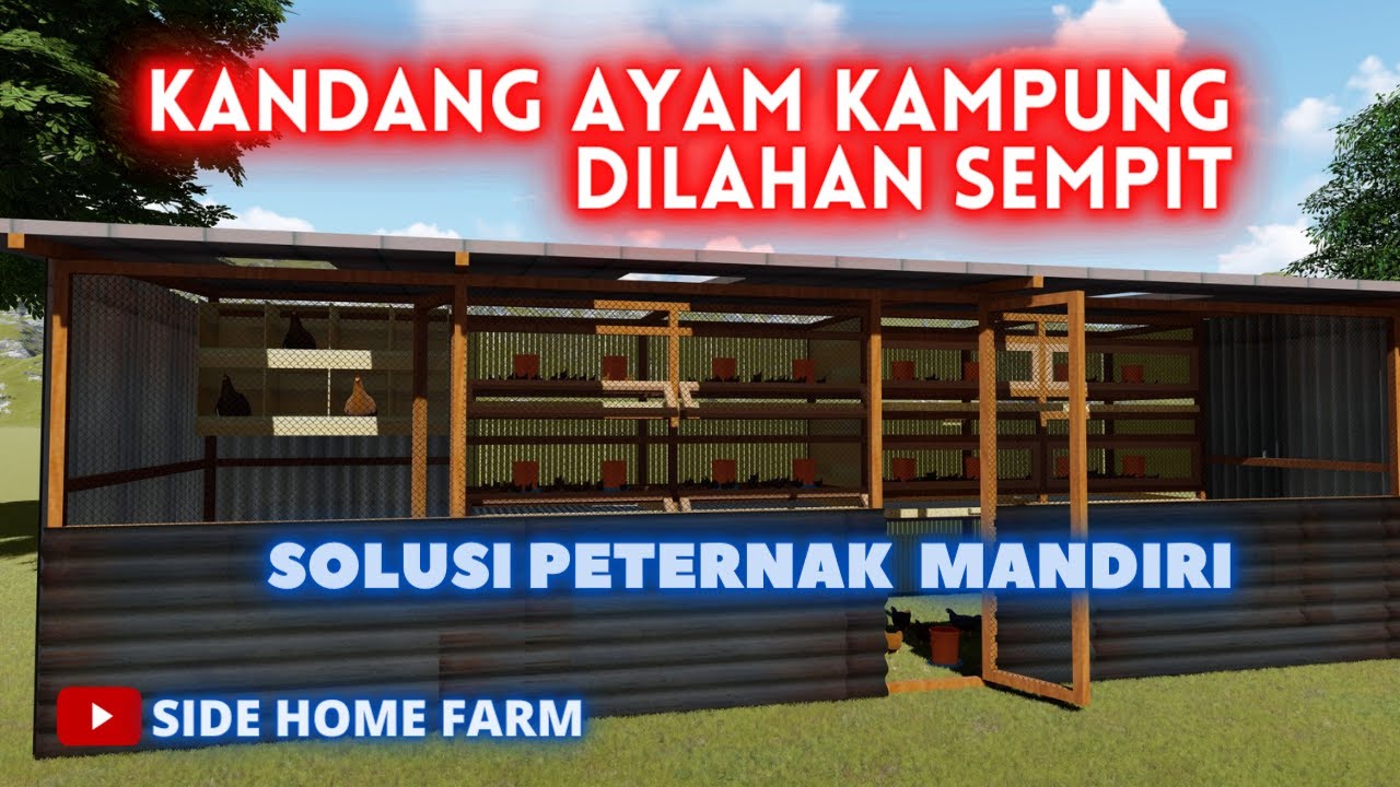 KANDANG AYAM KAMPUNG DILAHAN SEMPIT