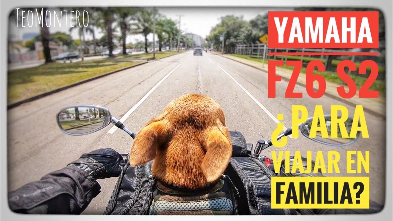 yamaha fz6 , ¿ cómoda para viajar con pasajero, maleta y mascota? , (600cc) , Español. TEOMONTERO