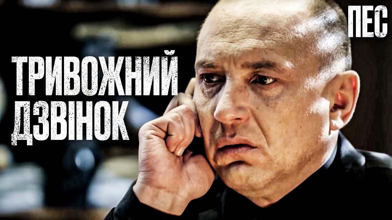 🎬 ПЛОХАЯ ВЕСТЬ! Смешной ДЕТЕКТИВ 2024 - Сериал ПЕС 2024 - Лучшие серии