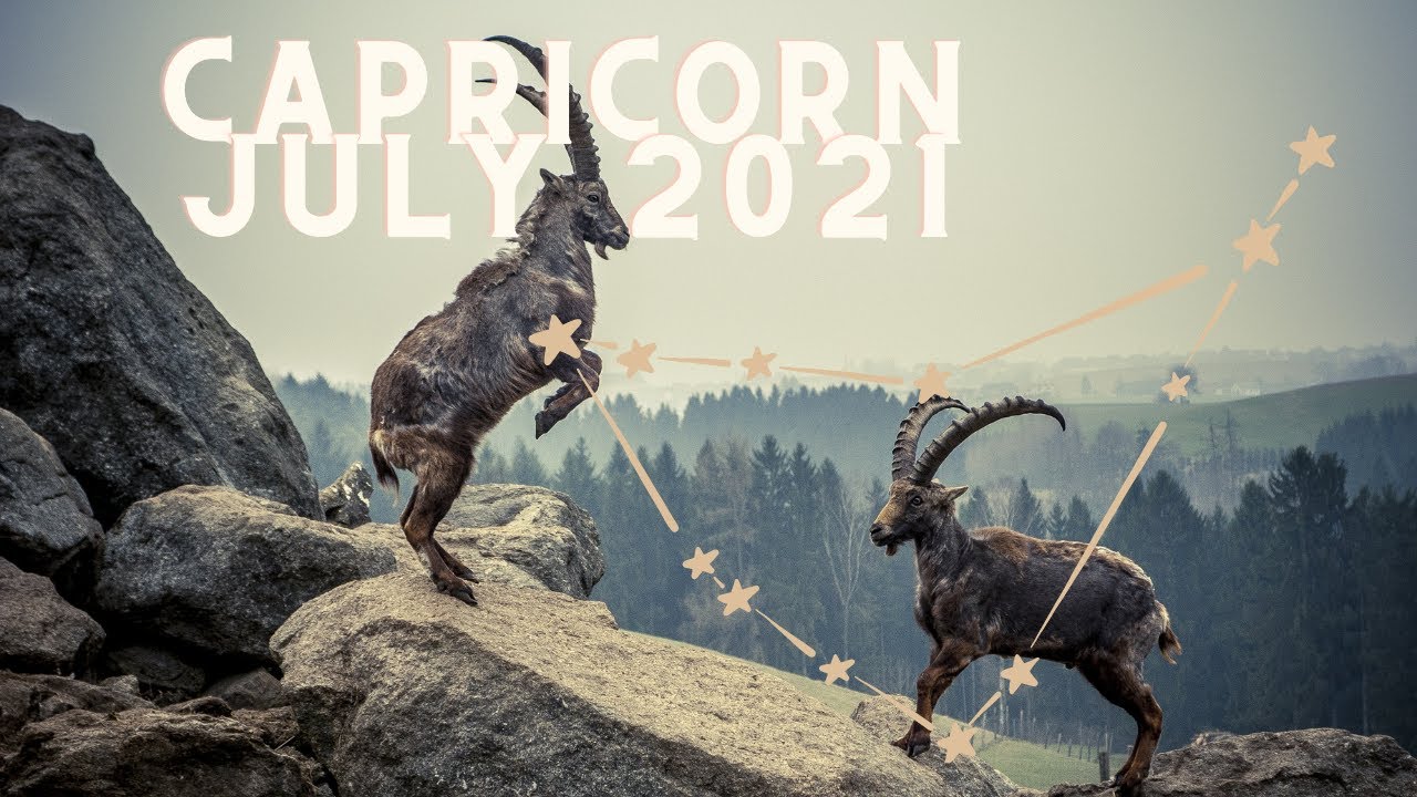 ♑️Capricorn, A madly passionate reconciliation after silence❤️July 2021