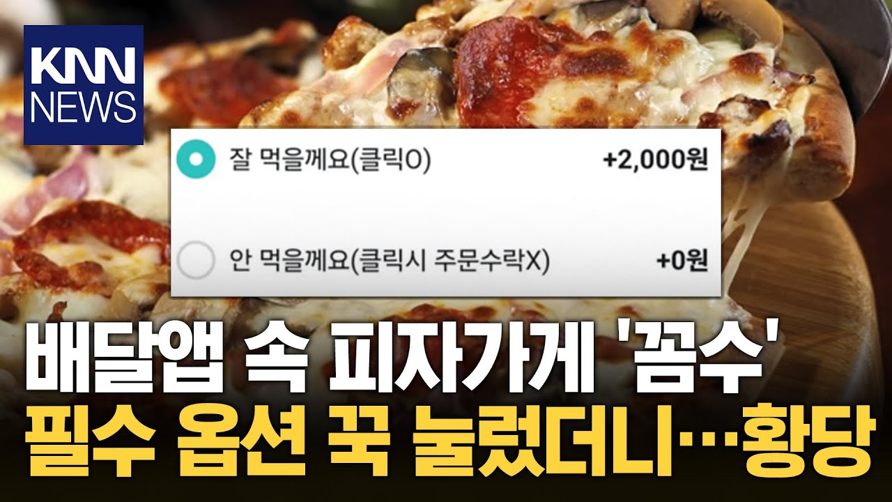 필수 옵션 눌렀더니 가격 추가 손님 기만하는 피자가게 사장 / KNN